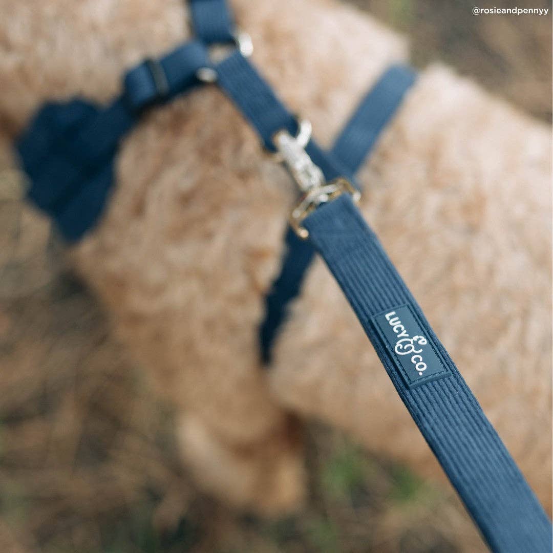 Lucy &amp; Co. - Appley Ever After Corduroy Leash