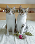 Lambwolf Collective - RADISH//CAT TOY: S/ CREAM