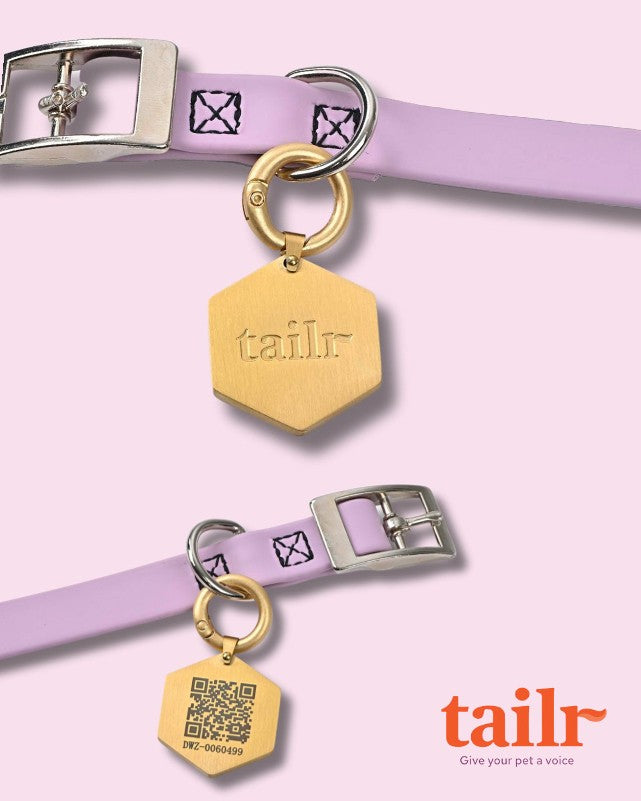 Tailr QR Code Pet Tags