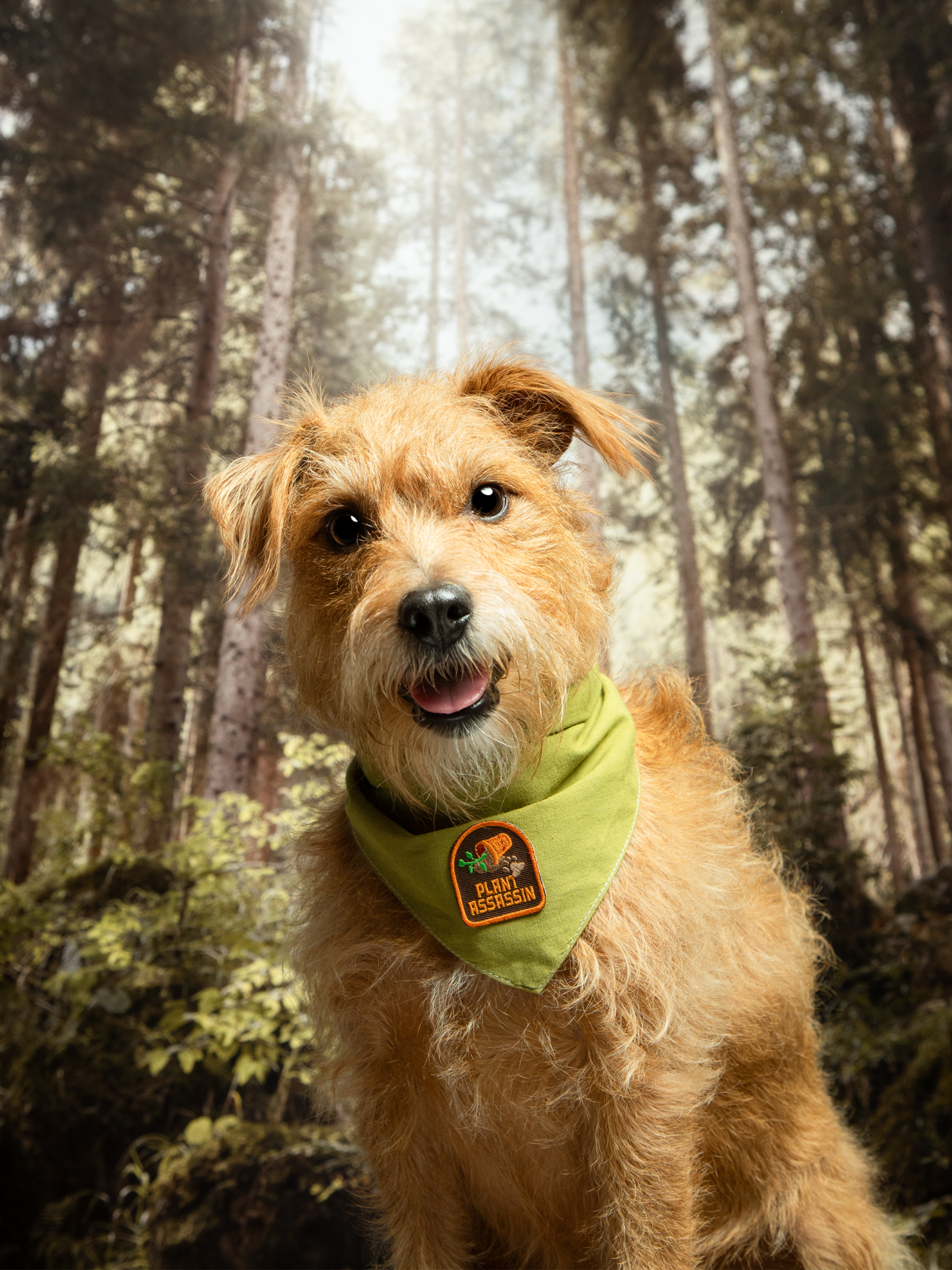 Scout's Honour Pty Ltd - Plant Assassin iron-on patch for pets
