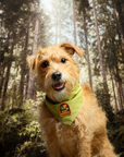 Scout's Honour Pty Ltd - Plant Assassin iron-on patch for pets