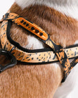 Zee.Dog - Bossa Banana | SofterWalk Harness: Large