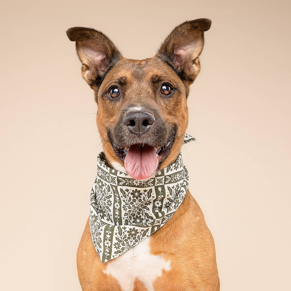 The Paws - Fernwood Dog Bandana