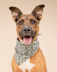 The Paws - Fernwood Dog Bandana