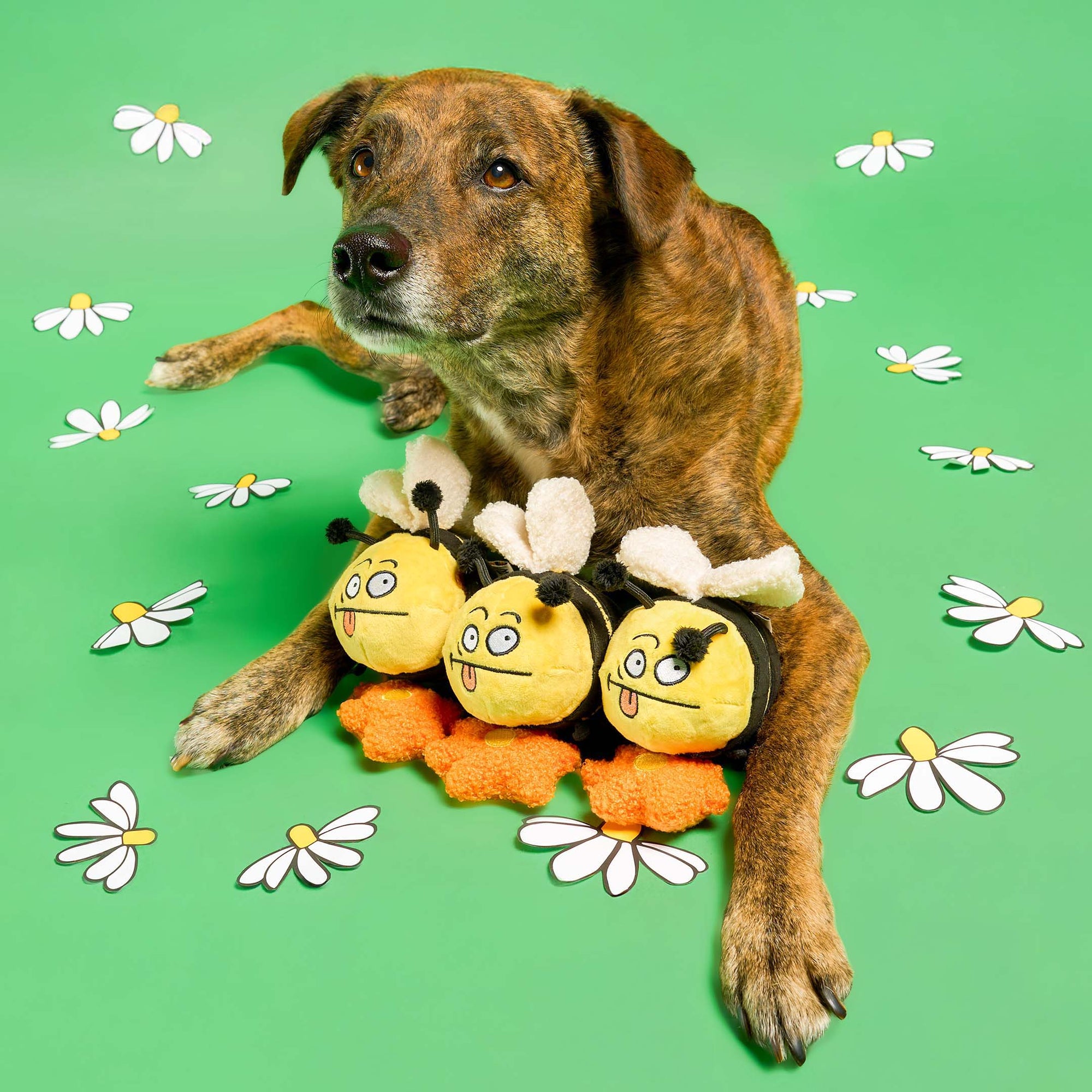 the furryfolks - Bee Happy Nosework Toy