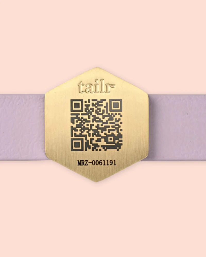Tailr QR Code Pet Tags – The Modern Dog Company Store
