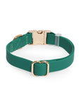 Sunny Tails Meadow Green Waterproof Dog Collar
