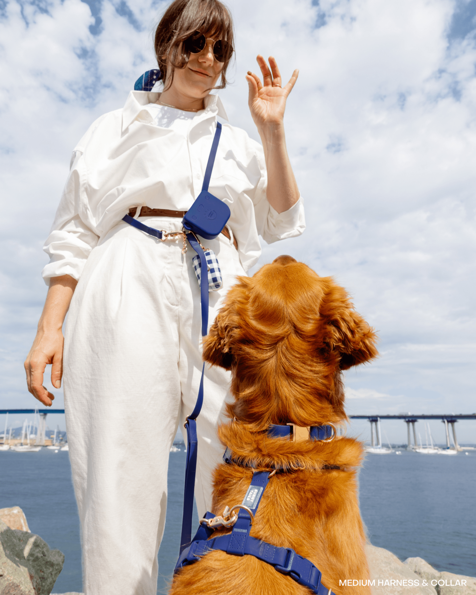 SUNNY TAILS - Signature Navy Snap Dog Treat Pouch: Standard (1/2 cup)