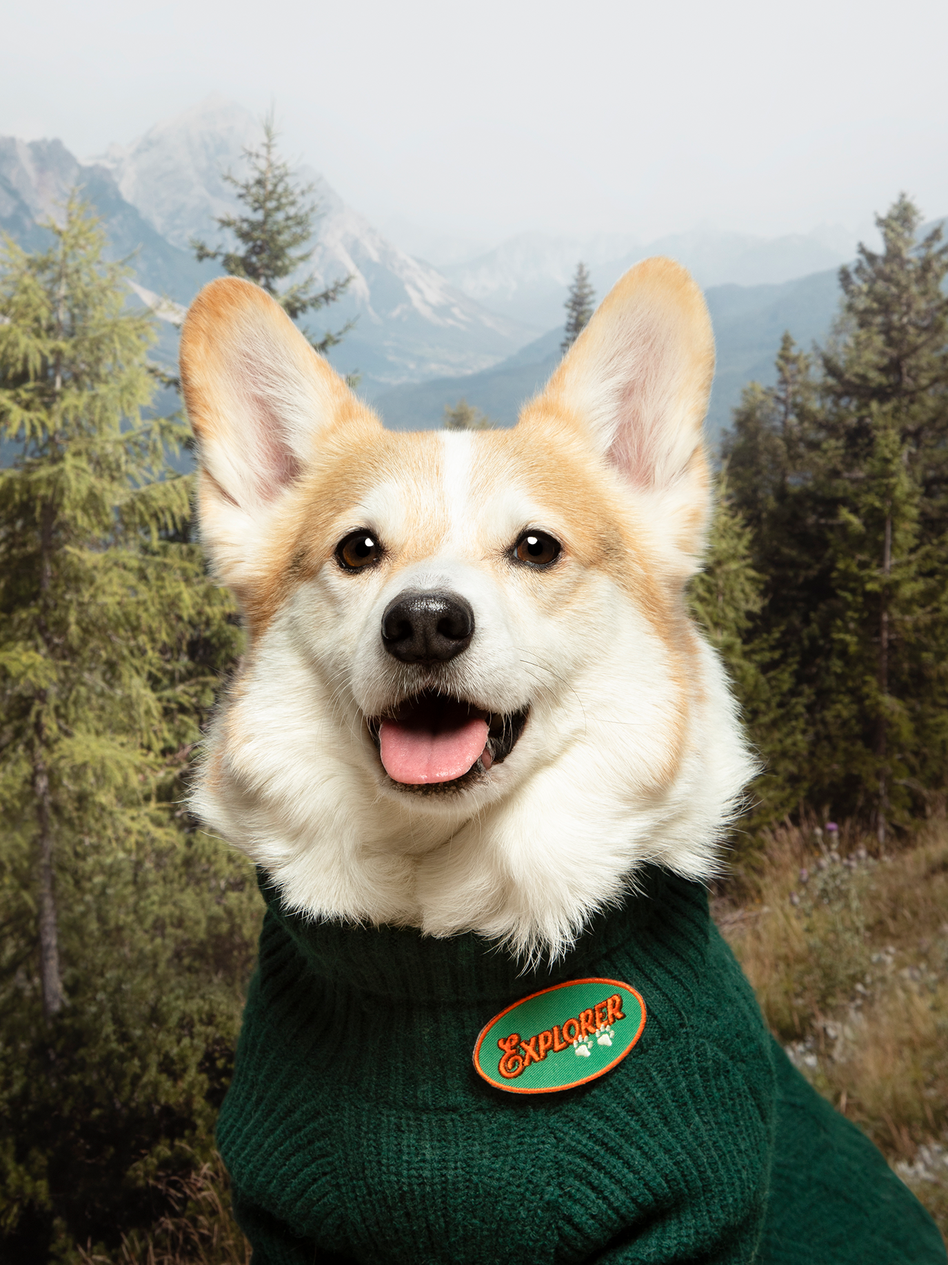 Scout's Honour Pty Ltd - Explorer iron-on patch for dogs and cats