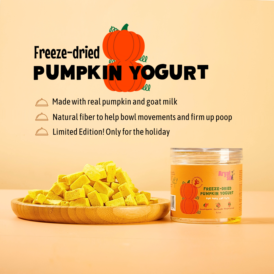 Arya Sit - Freeze-Dried Pumpkin Yogurt