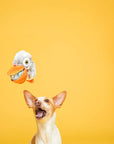 BARK Big Bill & Beak-A-Boo Fish