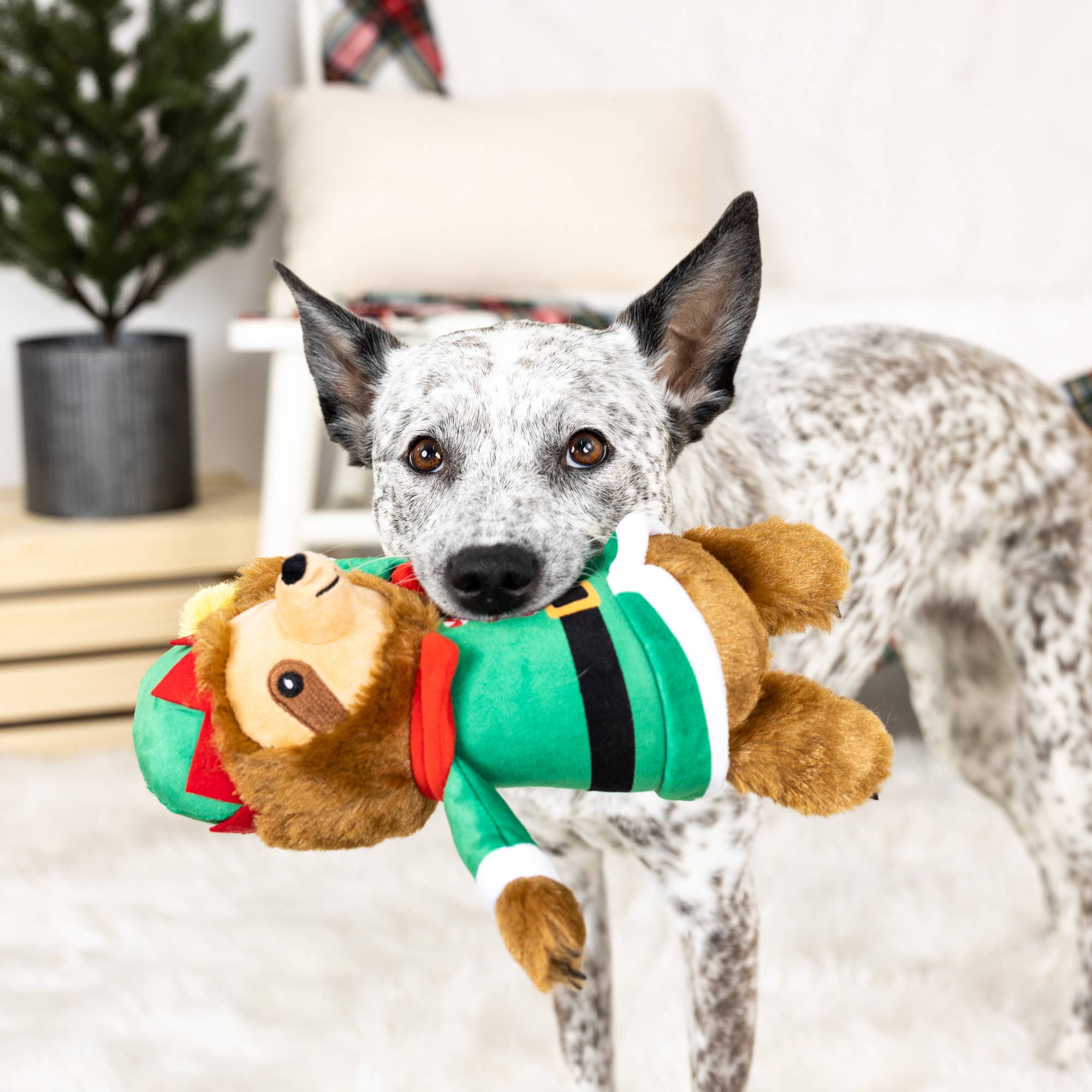 Fringe TREAT YO’ ELF PLUSH DOG TOY The Modern Dog Company Store