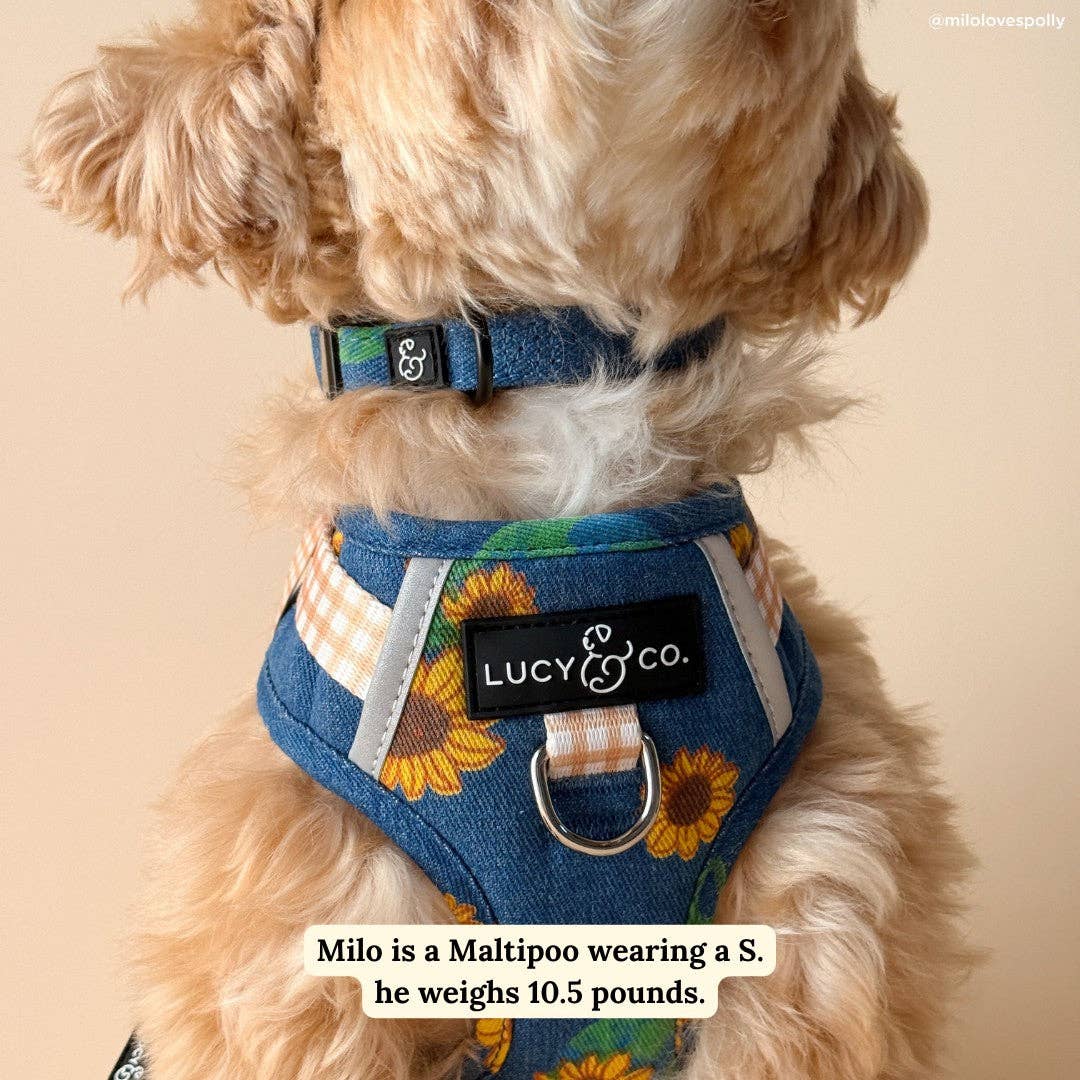 Lucy &amp; Co. - Sunflower Power Denim Collar