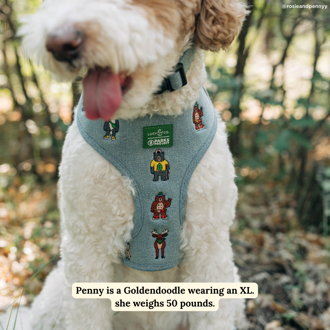 Lucy &amp; Co. - Lucy &amp; Co. x Parks Project Adventures with Friends Reversible Harness