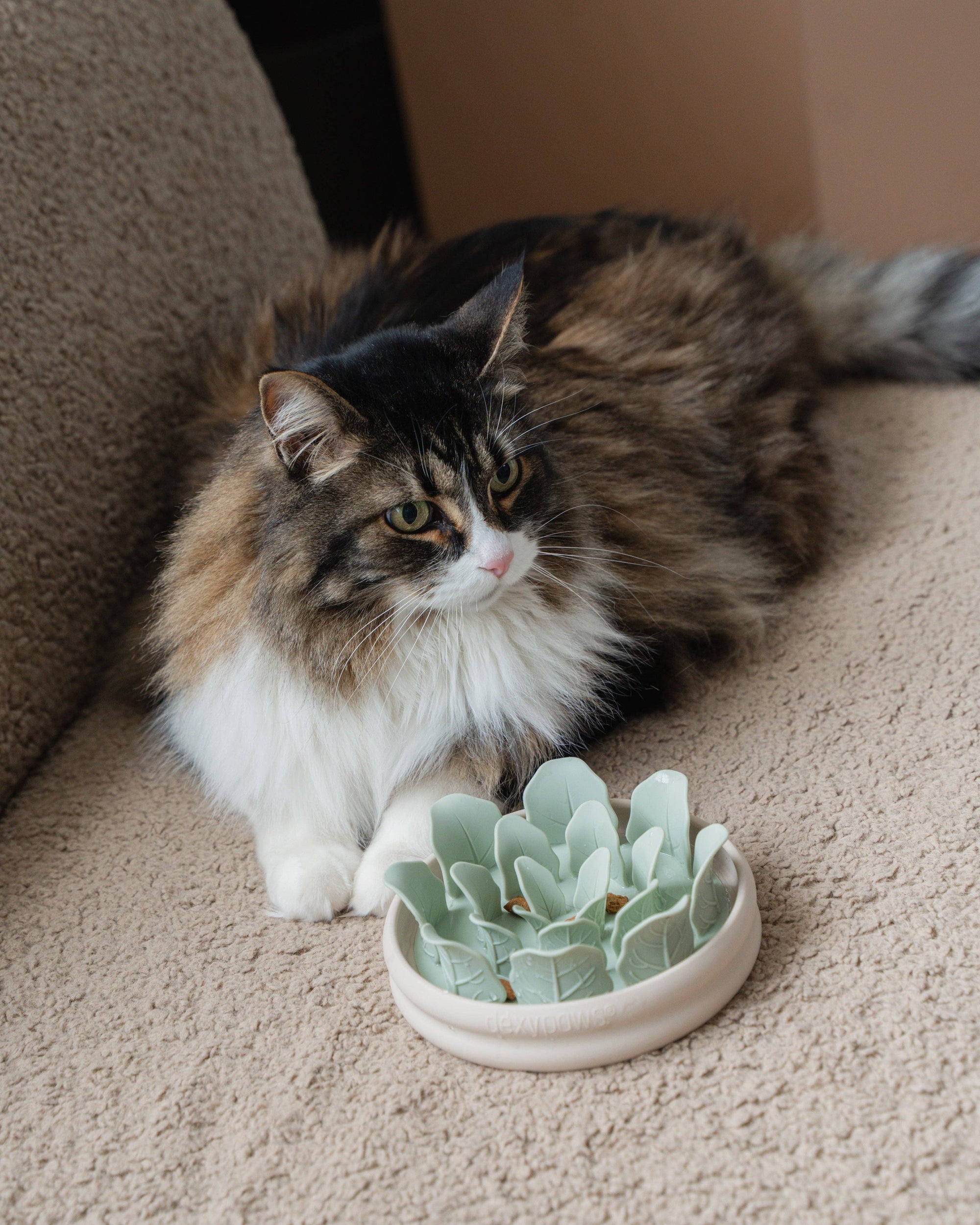 dexypaws - Planter Slow Feeder