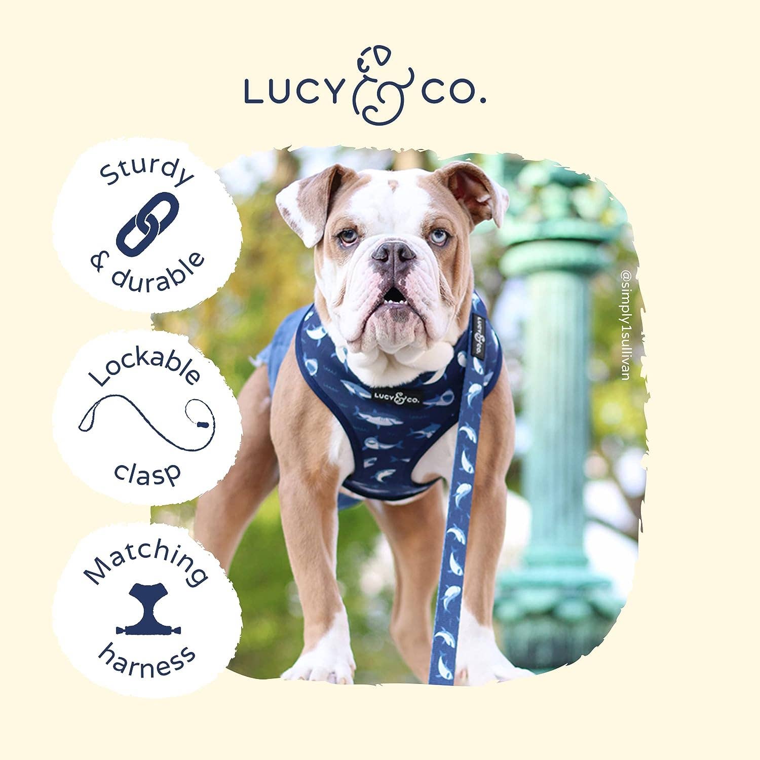 Lucy &amp; Co. - Shark Attack Leash: Large
