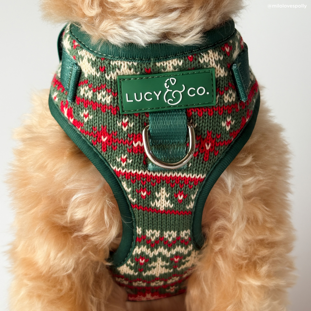 Lucy &amp; Co. - Cozy Cheer No-Pull Harness