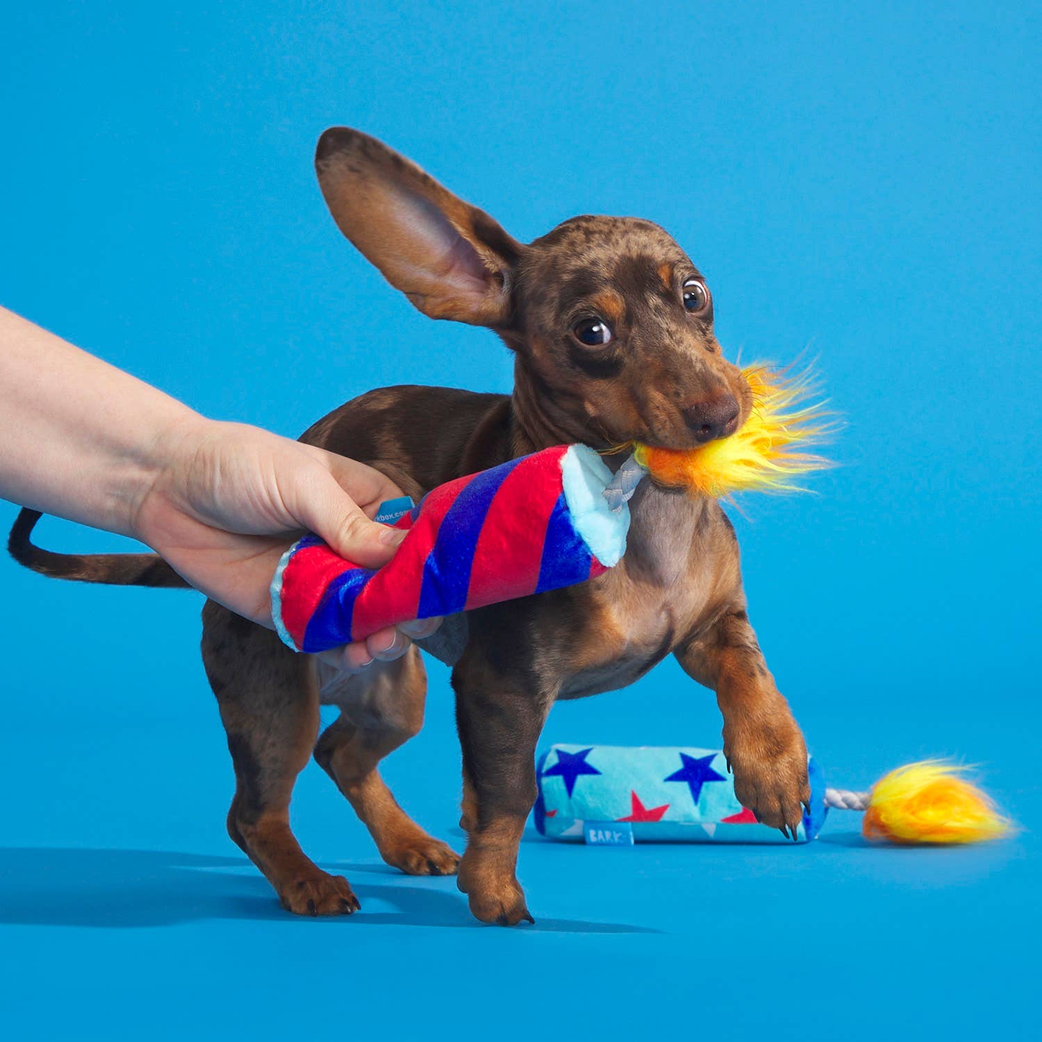 BARK Pup-Pup Fireworks Fourth of July Plush Dog Toy Small
