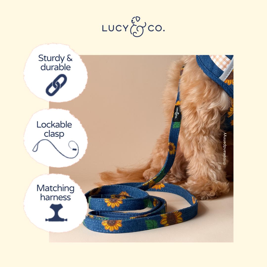 Lucy &amp; Co. - Sunflower Power Denim Leash