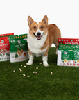 Pet Palette Distribution - Lord Jameson Love Puffs Candy Cane Kisses Pouch 4oz