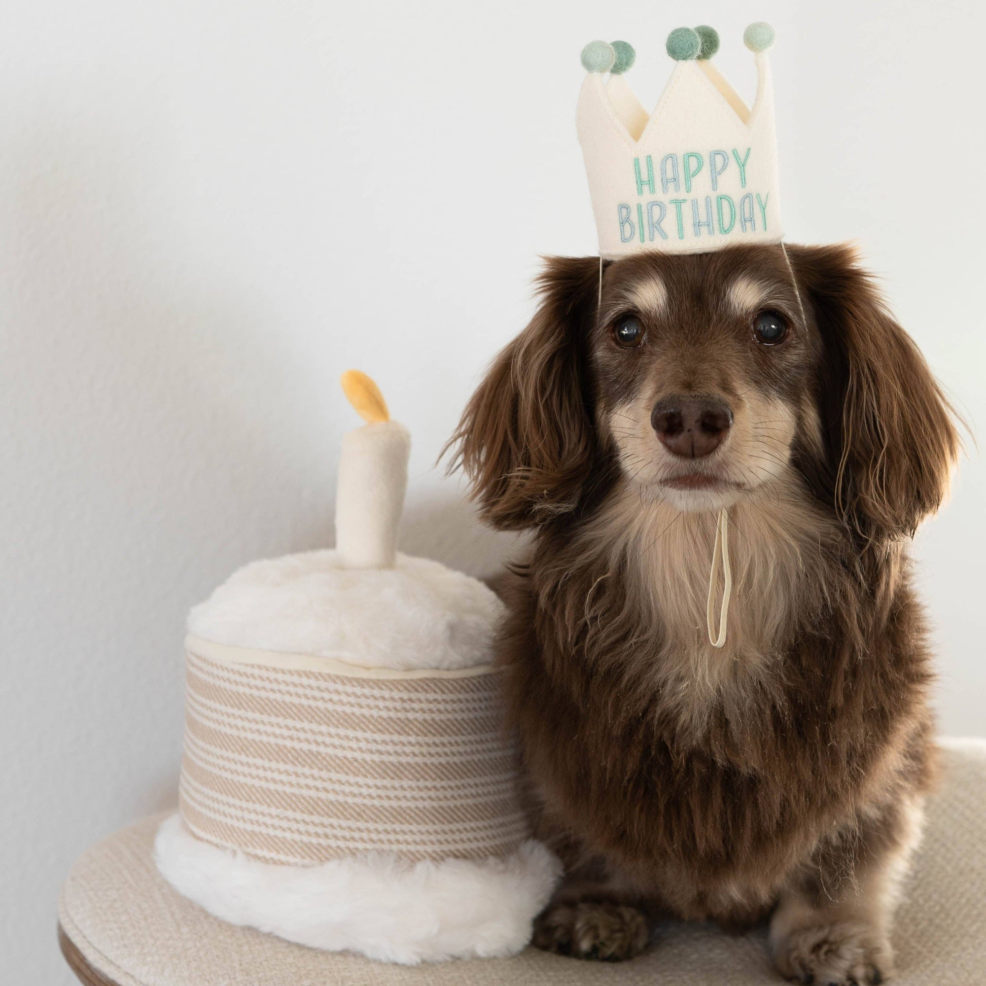 Lambwolf Collective - Birthday Cake // Burrow Toy