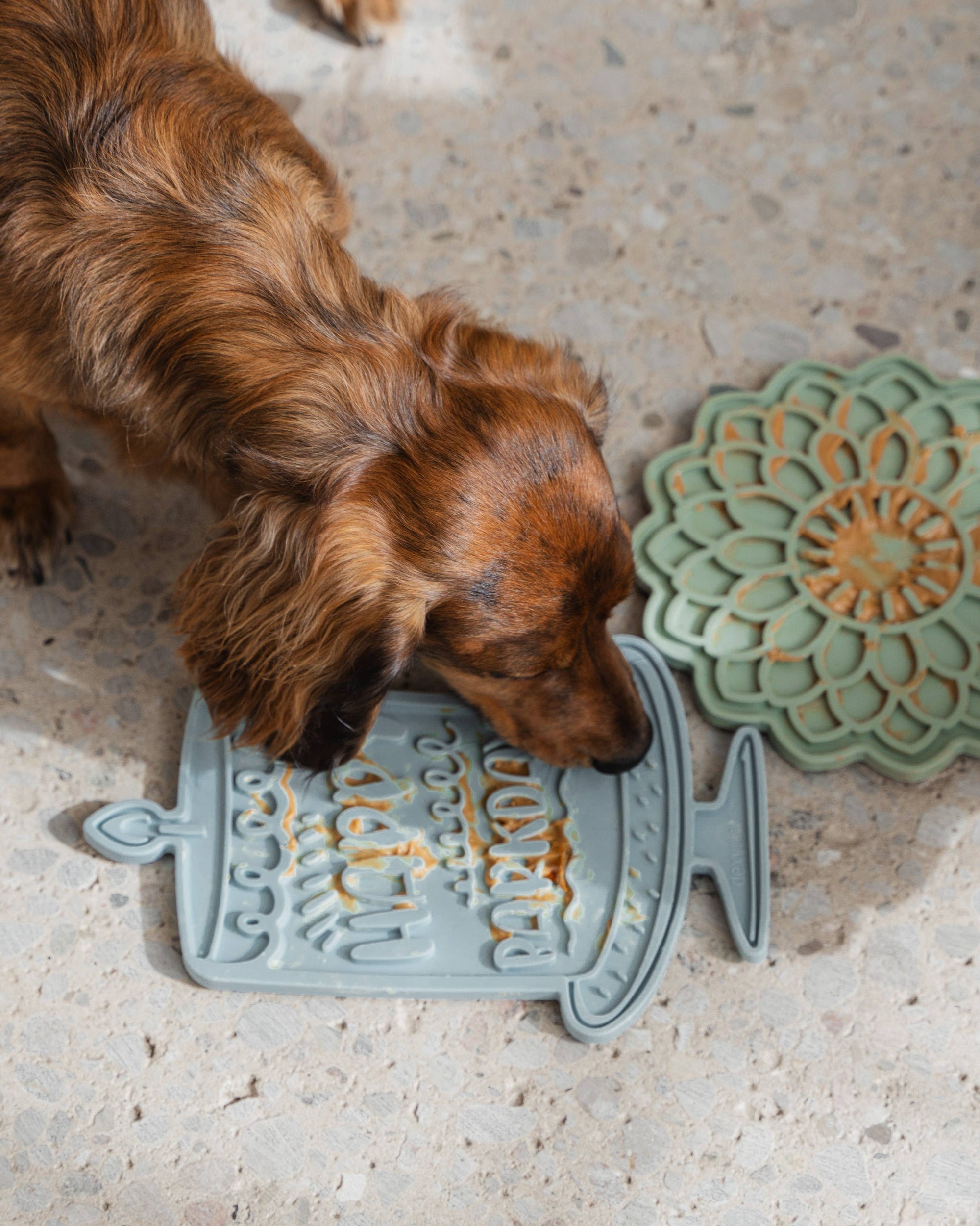 dexypaws - Barkday Bash Enrichment Lick Mat
