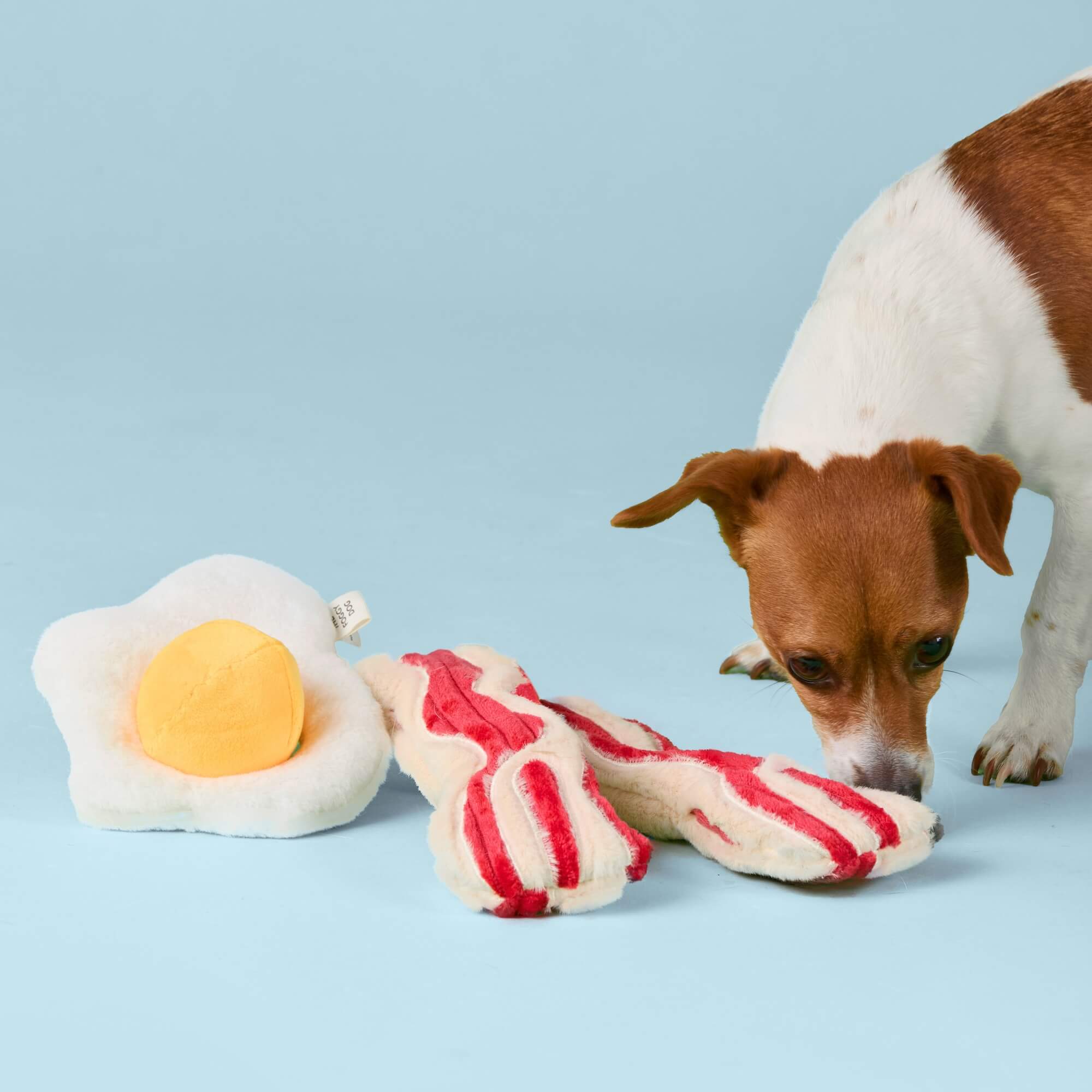 The Foggy Dog - Bacon and Egg Interactive Toy Set