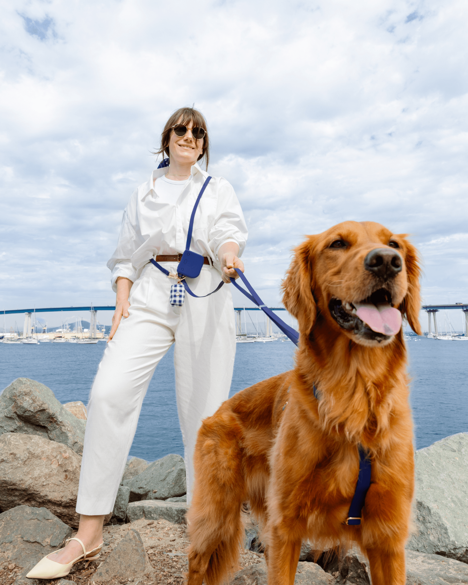 SUNNY TAILS - Signature Navy Snap Dog Treat Pouch: Standard (1/2 cup)