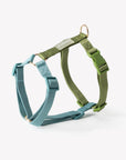 Furlou - Blue + Green - Strap Dog Harness
