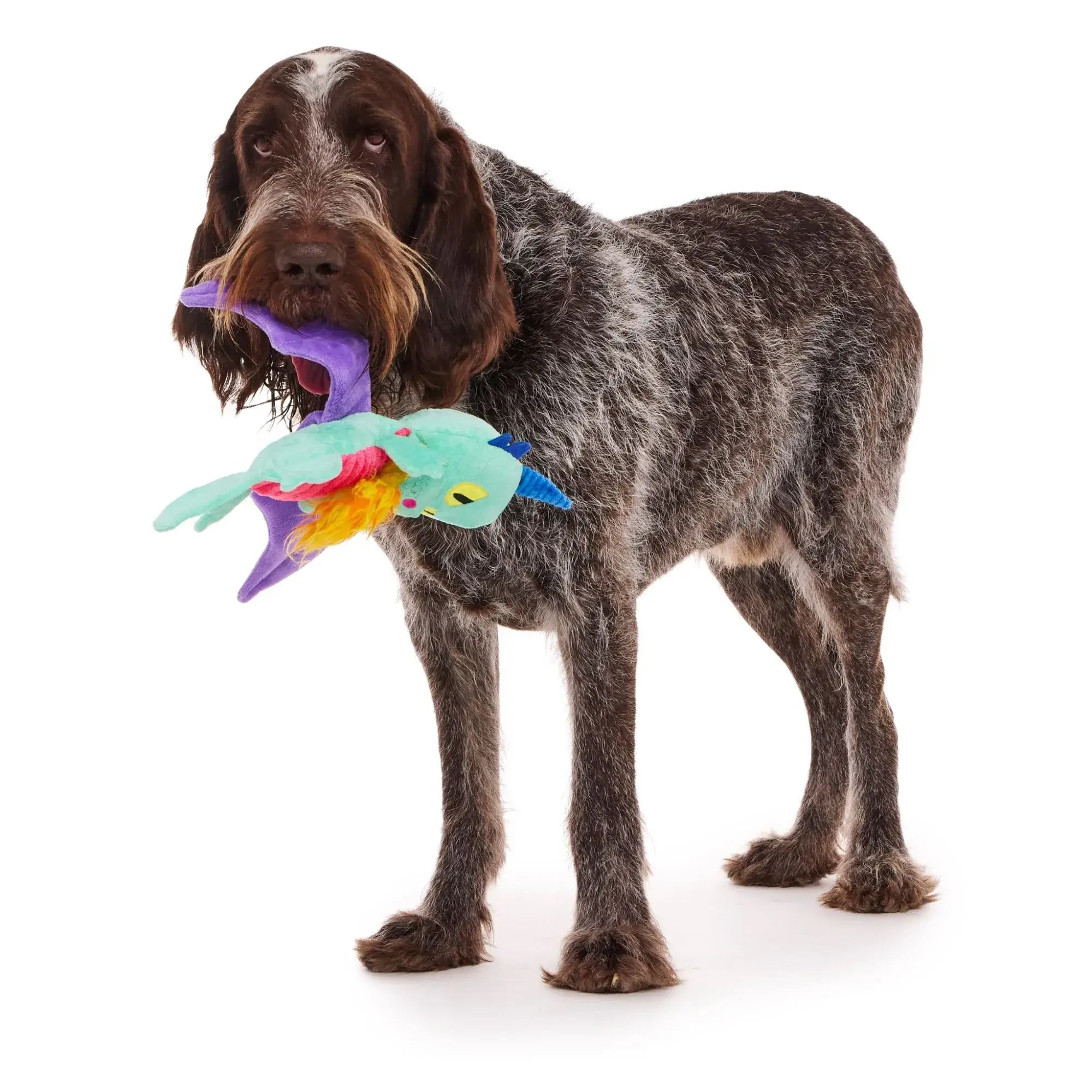 Pet Palette Distribution - BARK Chongus The Dragon Plush Dog Toy XL