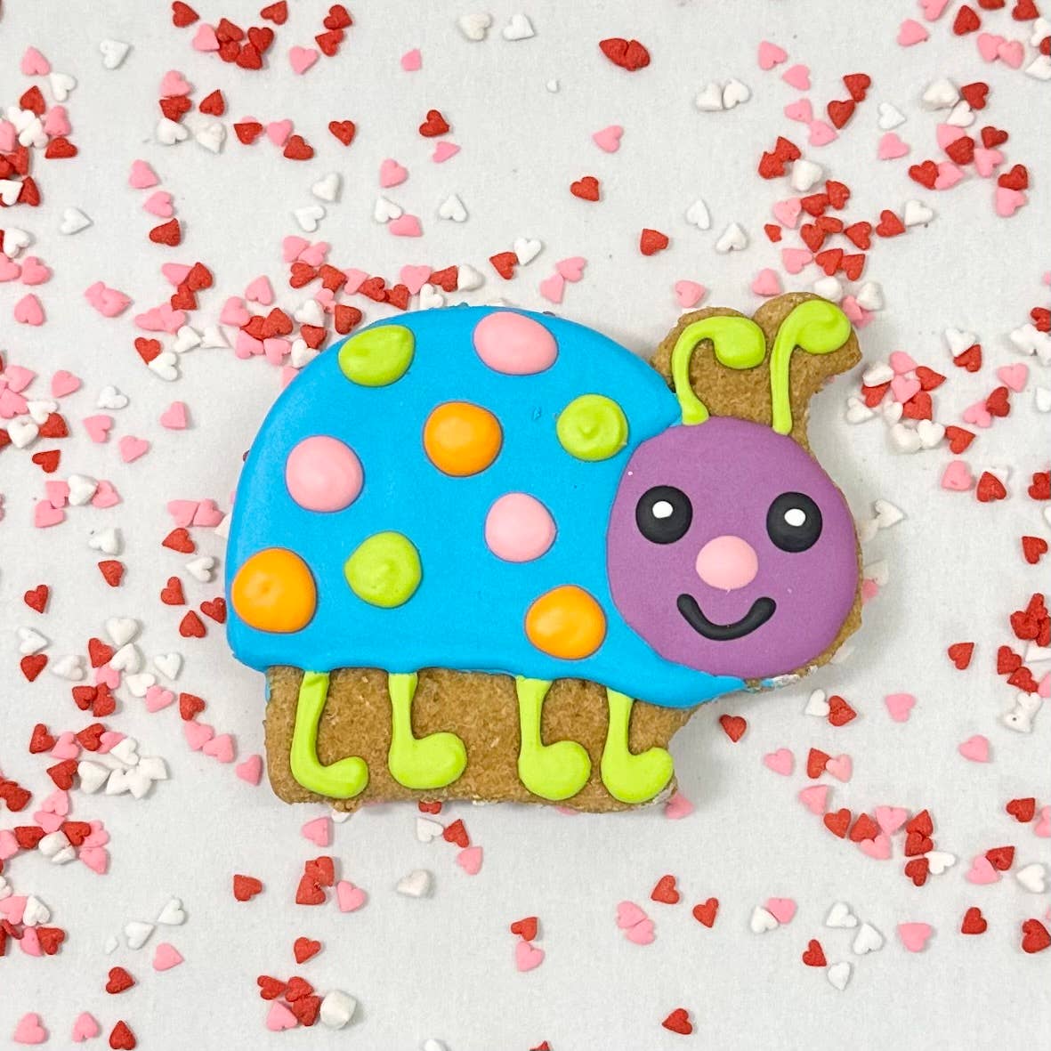 Lucky Biscuit Pet Bakery - Colorburst Spring Bloom Collection: Rainbow Petal Daisy
