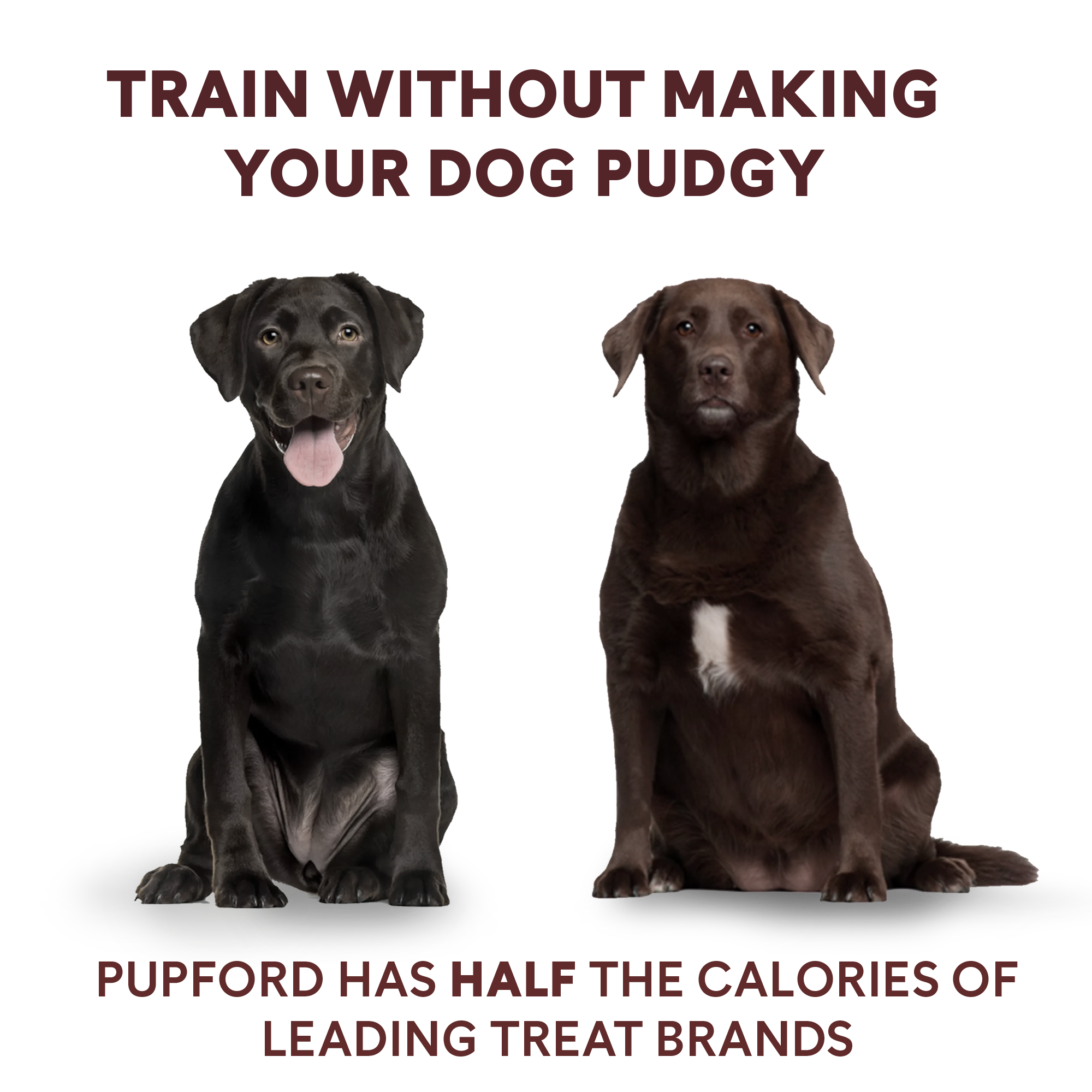 Pupford - Pupford Freeze Dried Surf and Turf Training Treats