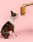 the furryfolks - Bone Appétit Nosework Toy