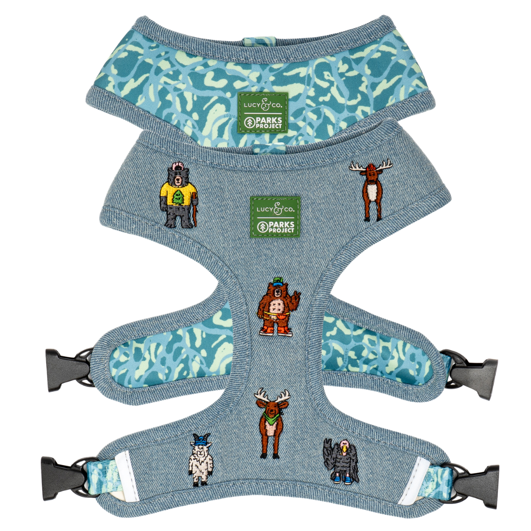 Lucy &amp; Co. - Lucy &amp; Co. x Parks Project Adventures with Friends Reversible Harness