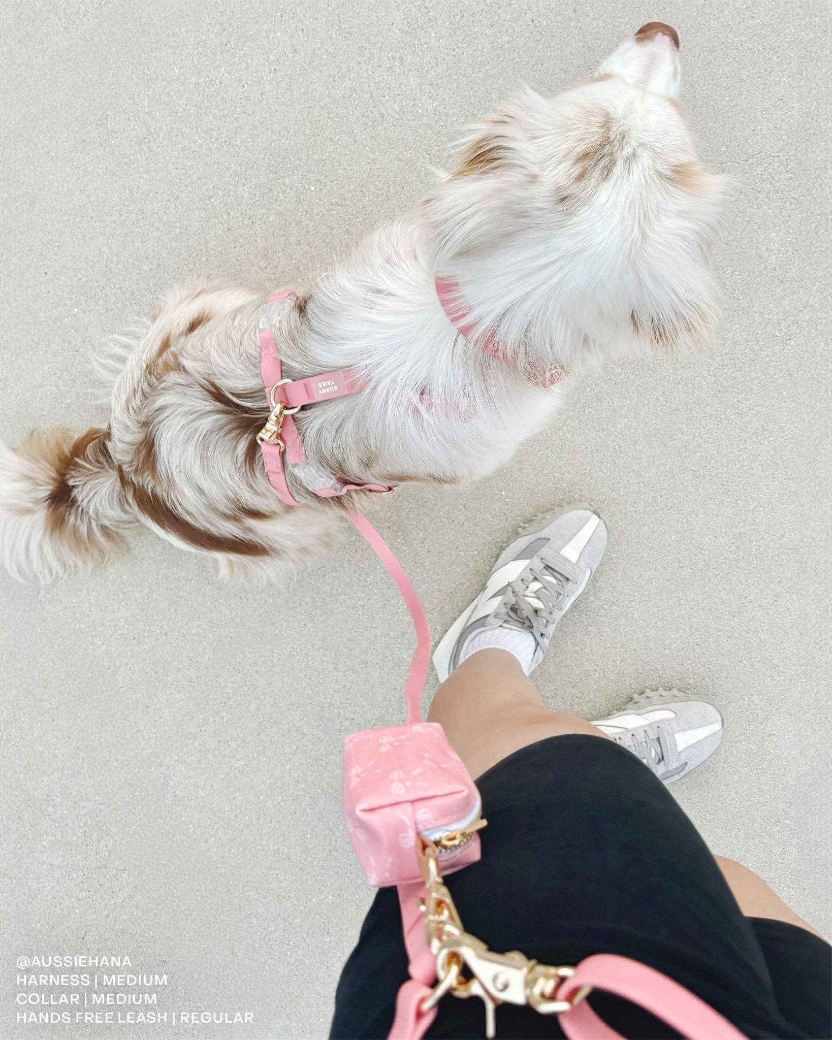 SUNNY TAILS - Perfect Pink 4-in-1 Convertible Hands Free Cloud Dog Leash: Wide