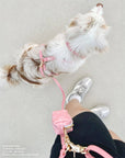 SUNNY TAILS - Perfect Pink 4-in-1 Convertible Hands Free Cloud Dog Leash: Wide