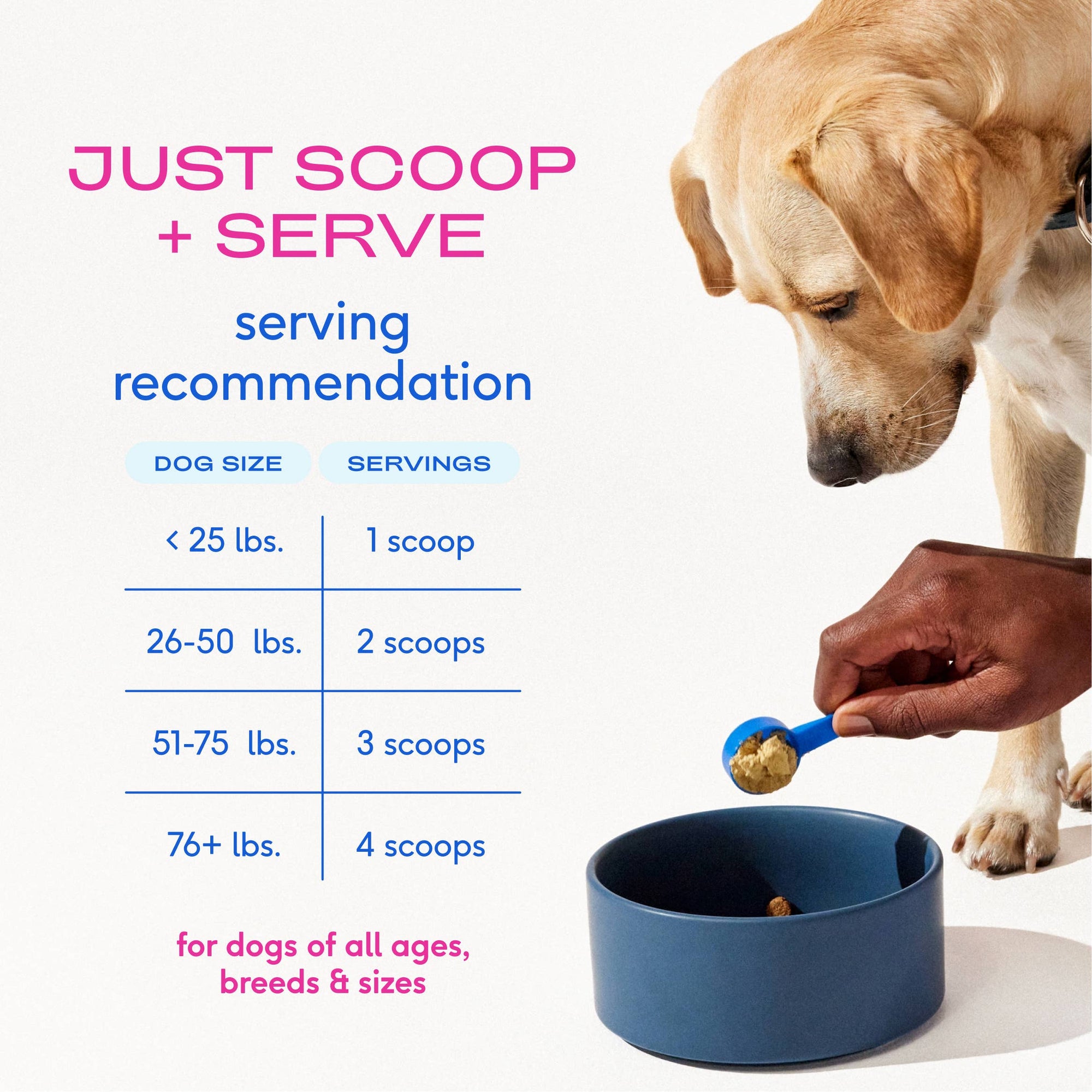 Native Pet - Hip+Joint Advanced Care Powder Joint, Muscle &amp; Inflammation: 60 scoops