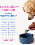 Native Pet - Hip+Joint Advanced Care Powder Joint, Muscle & Inflammation: 60 scoops