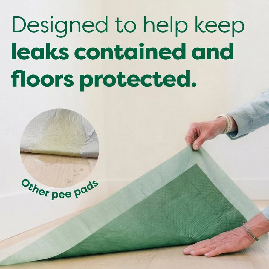 Earth Rated Dog Pee Pads With AbsorbShield™ Technology