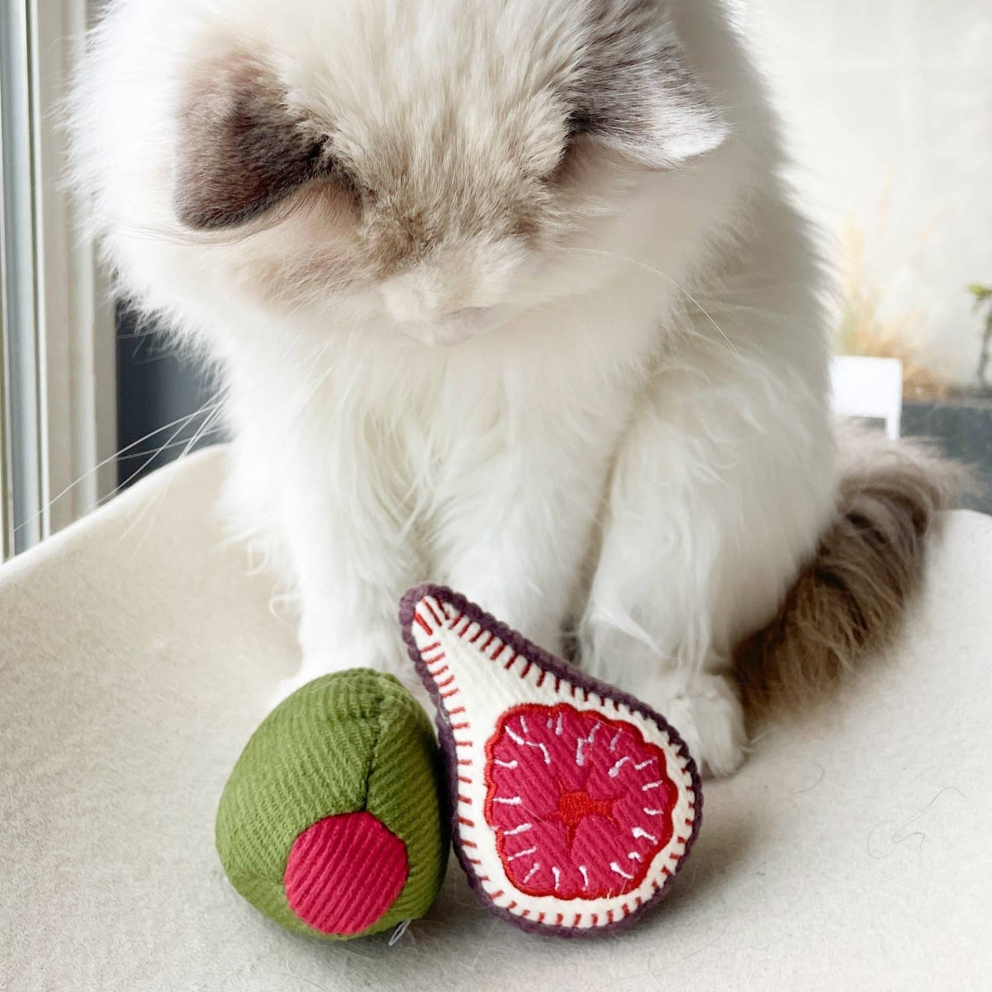 Lambwolf Collective - KITTY OLIVE + FIG