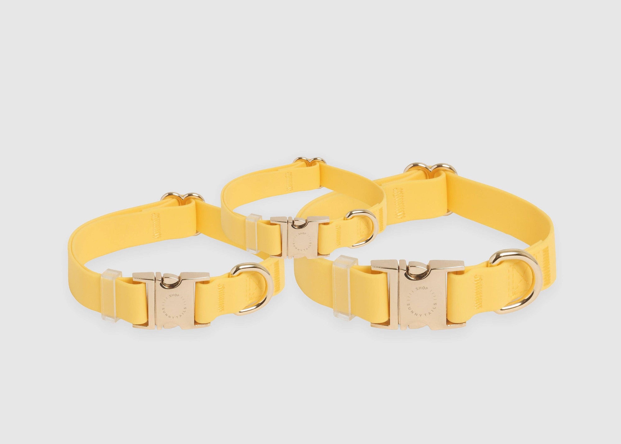 Sunny Tails Dandelion Yellow Waterproof Dog Collar