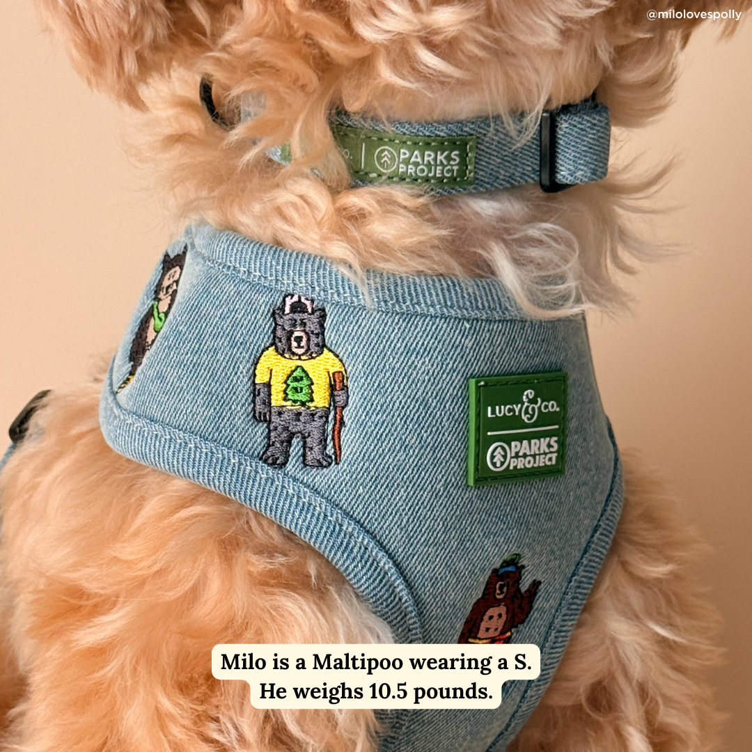 Lucy &amp; Co. - Lucy &amp; Co. x Parks Project Adventures with Friends Reversible Harness