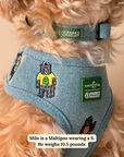 Lucy & Co. - Lucy & Co. x Parks Project Adventures with Friends Reversible Harness
