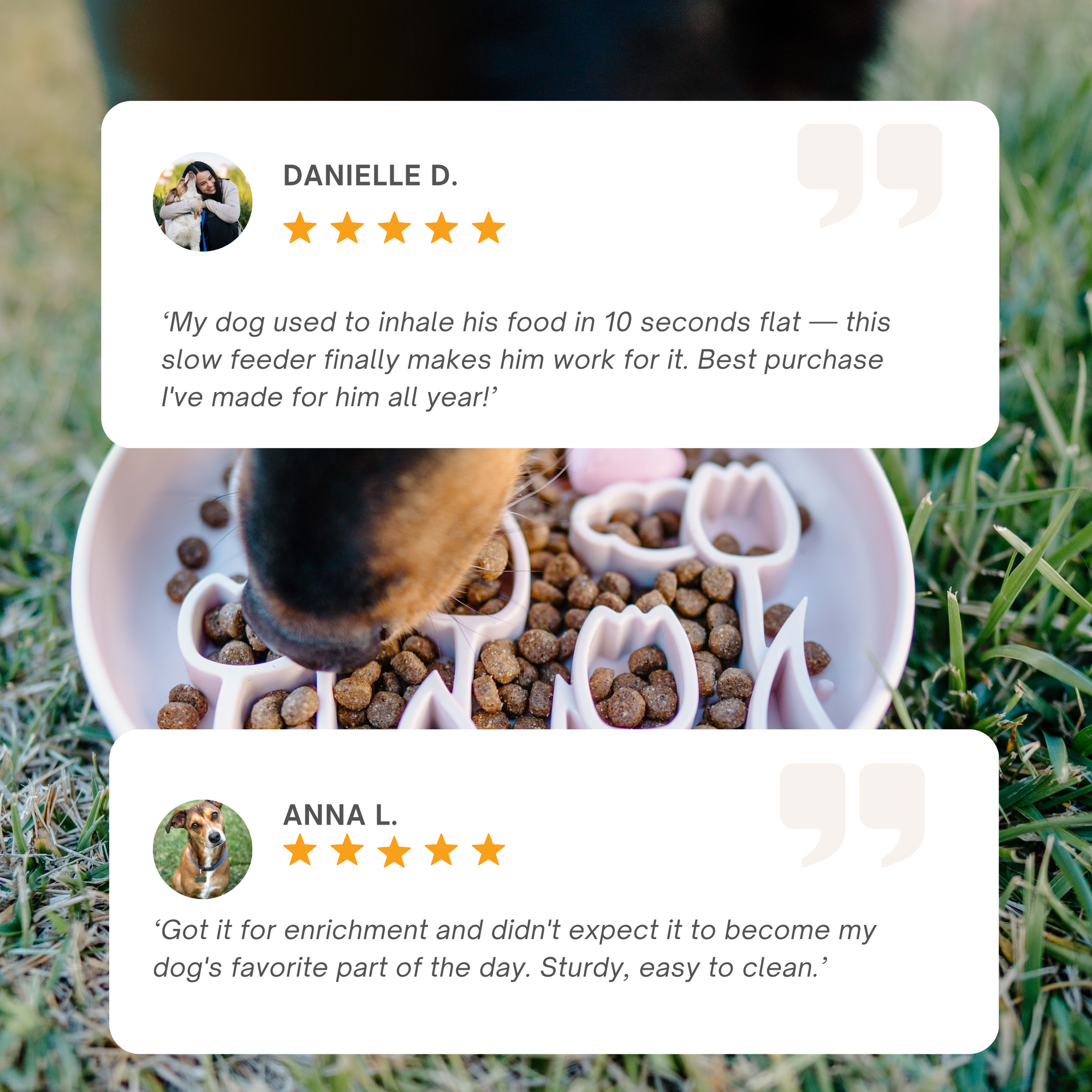 Barks and Brownies - Mushroom Slow Feeder