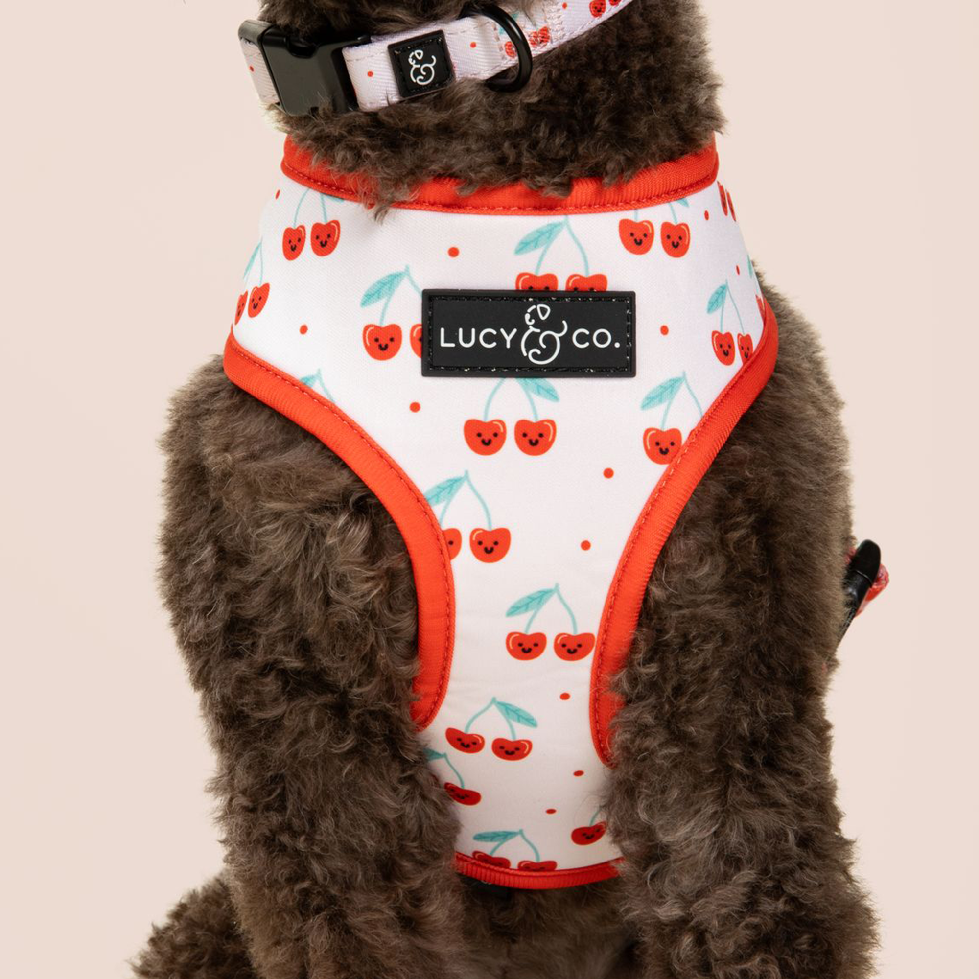 Lucy &amp; Co. - The Cheery Cherries Reversible Harness