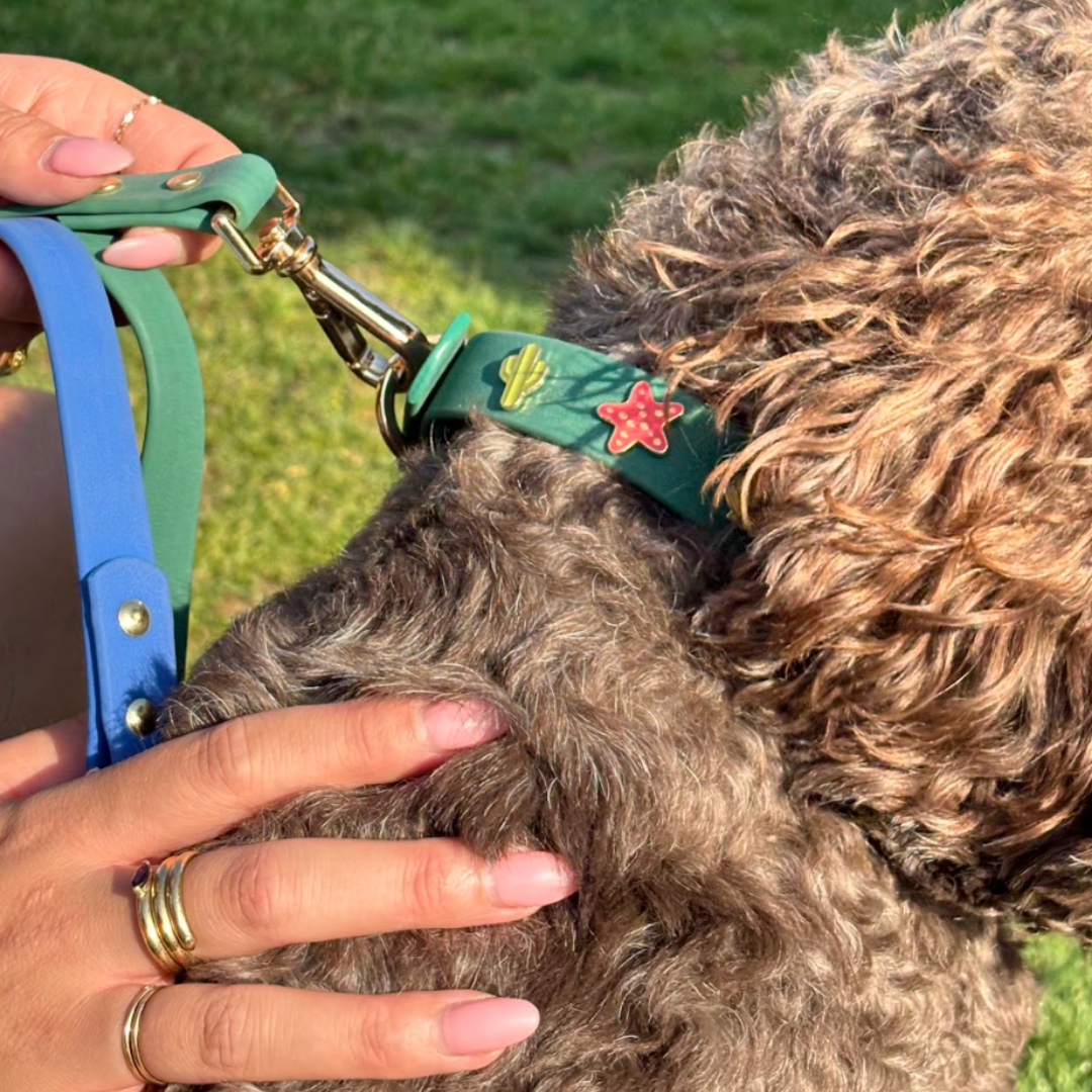 Furei Pets - Moodies Collar: Sea Blue