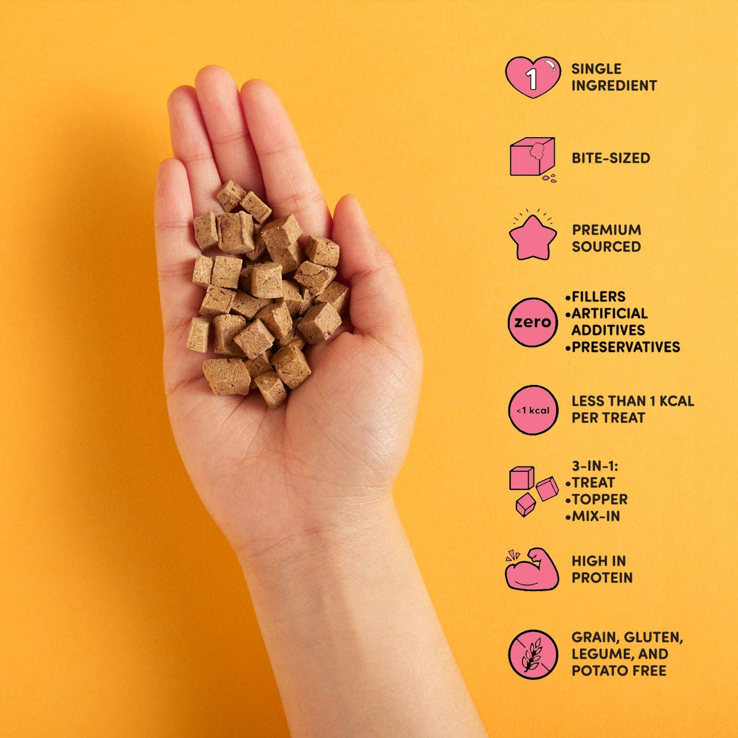 Snaggletooth Pets - Beef Liver Teeny Tiny Treats