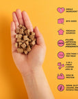 Snaggletooth Pets - Beef Liver Teeny Tiny Treats