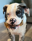 Wag & Bright Supply Co. - Mighty Marrows Collagen Dental Chew- Spirulina Beef- 3 Sizes: Large