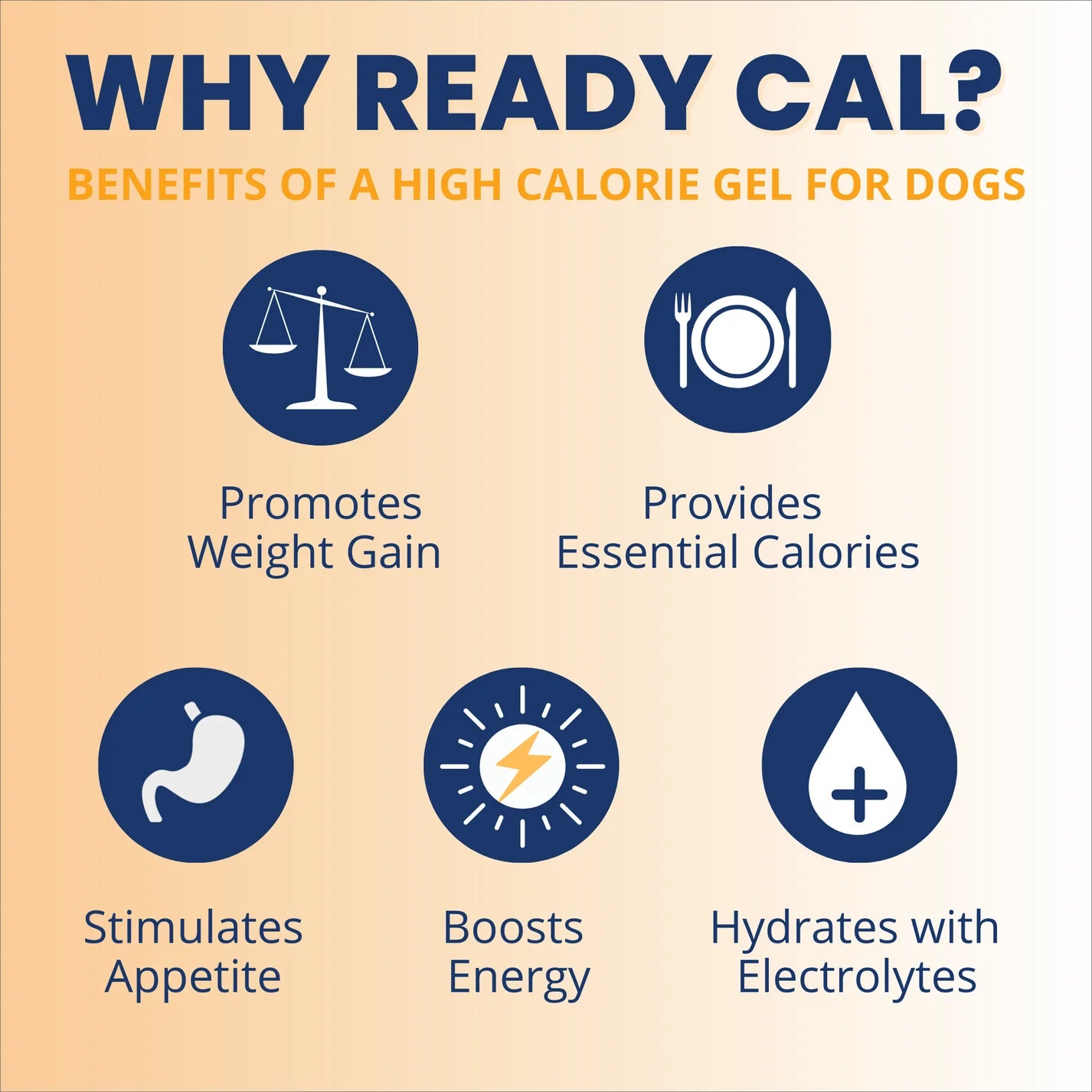 Under the Weather Ready Cal® PLUS Electrolytes for Dogs